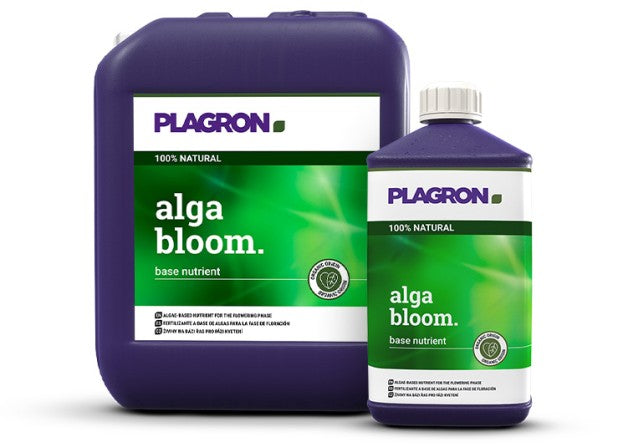 Plagron Alga Bloom 250ml, 500ml, 1L oder 5L
