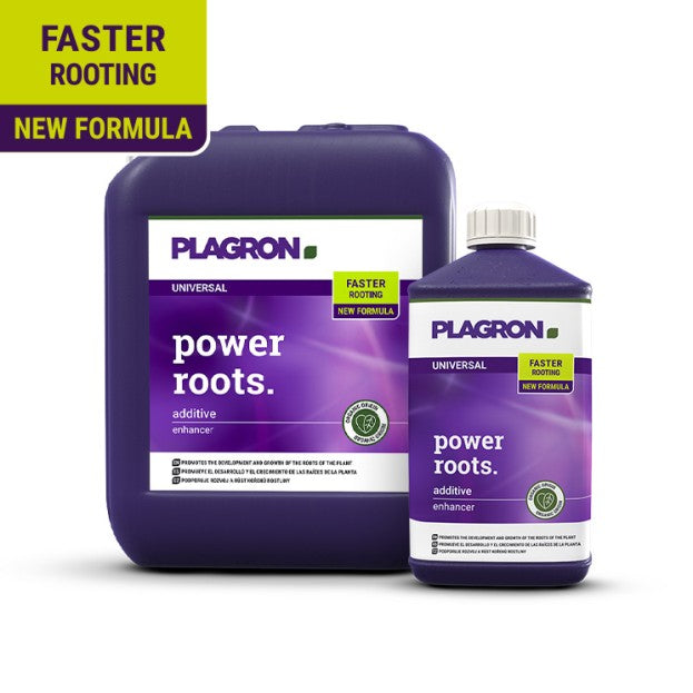 Plagron Power Roots 100ml, 250ml, 500ml, 1L oder 5L